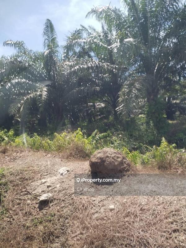 Tanah Pertanian untuk Dijual di Perak Tengah Jaya Baru Sitiawan 32000 Lekir, Sitiawan oleh CY Khoo - iProperty.com.my