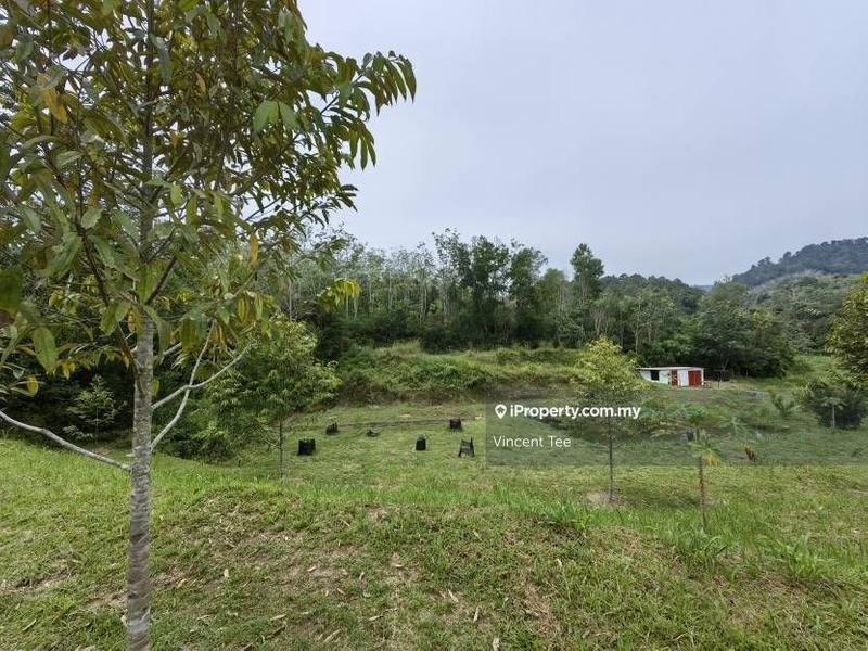 Tanah Pertanian untuk Dijual di Kampung Renal, Kuala Klawang oleh Vincent Tee - iProperty.com.my