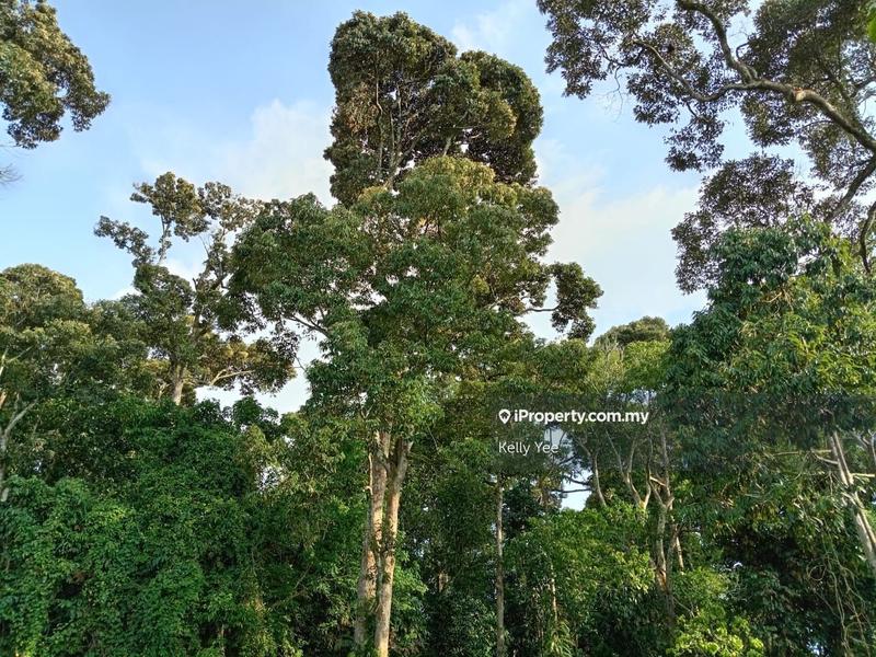 For Sale - Orchard Farm @ Simpang Tiga Keladi for Sale