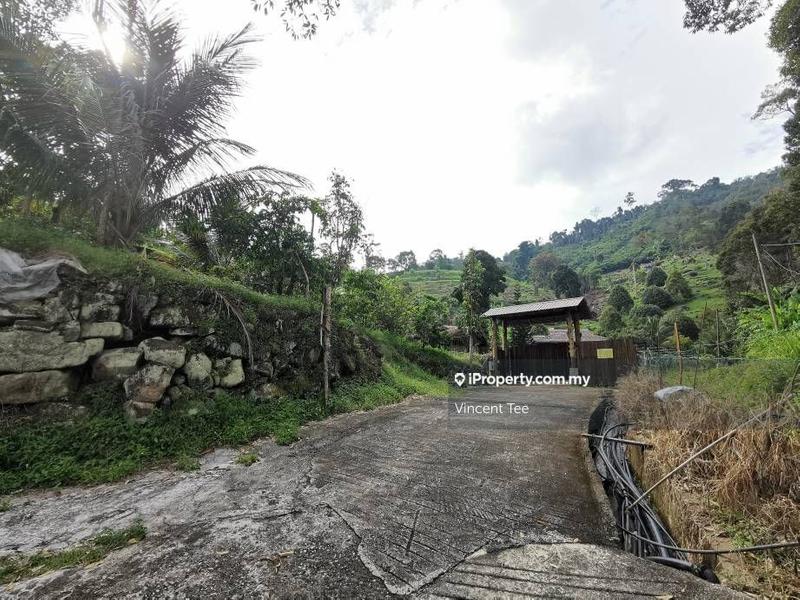 Tanah Pertanian untuk Dijual di Bukit Relau, Balik Pulau oleh Vincent Tee - iProperty.com.my