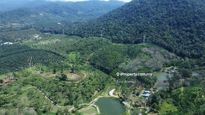 Agricultural Land for Sale in Paroi, Seremban by Aziz Ahmad - iProperty.com.my