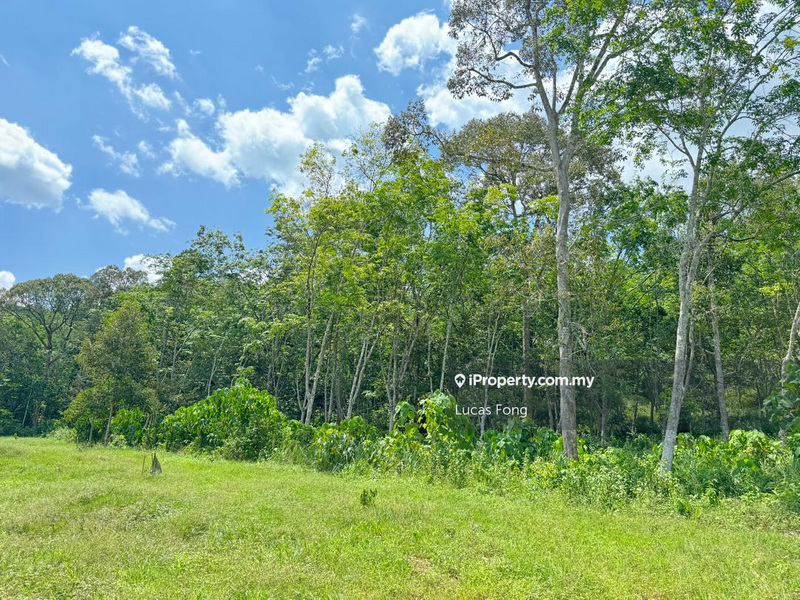 Agricultural Land for Sale in Lenggong, Gerik, Kuala Kangsar, Lenggong by Lucas Fong - iProperty.com.my
