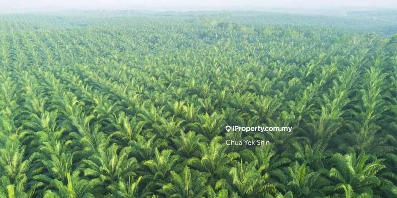 Agricultural Land for Sale in Taman Industri Sinaran, Kluang by Chua Yek Shin - iProperty.com.my