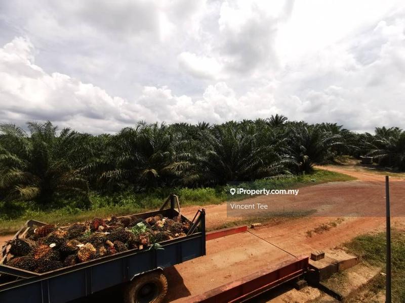 For Sale - 2041 Acre Palm Oil Estate Zoned Industry Bukit Kuin Kuantan