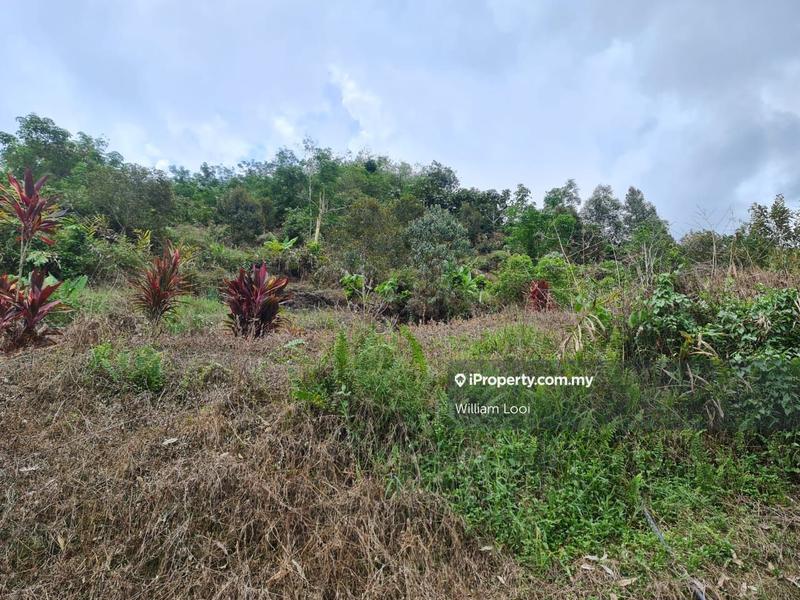 Agricultural Land for Sale in Kampung Tras, Raub by William Looi - iProperty.com.my
