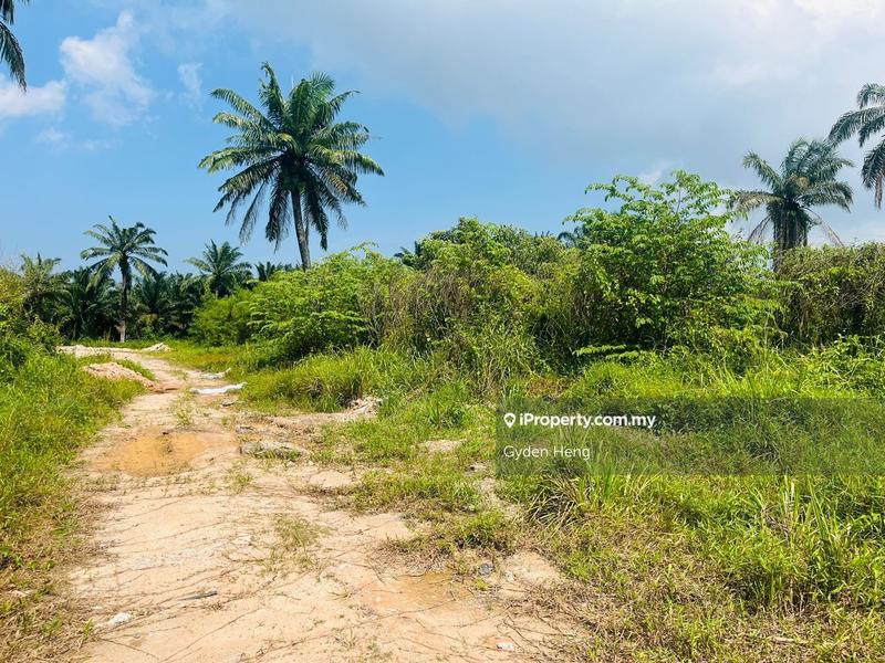 Agricultural Land for Sale in Taman Pontian Jaya, Pontian by Gyden Heng - iProperty.com.my