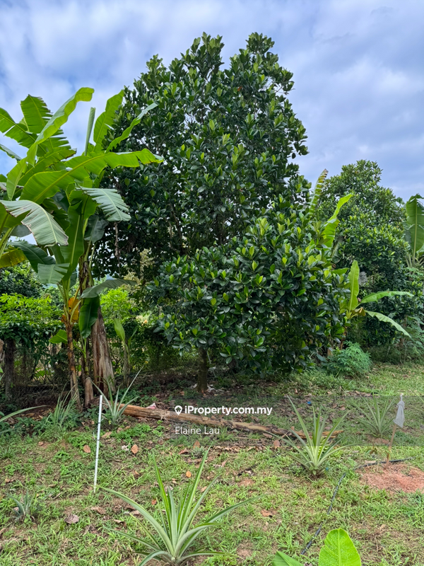 Agricultural Land for Sale in Kampung Sungai Tekali, Hulu Langat by Elaine Lau - iProperty.com.my