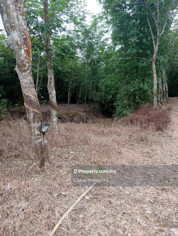 Agricultural Land for Sale in Lembah Beringin, Sungai Gumut by Chang Kheng Fatt - iProperty.com.my