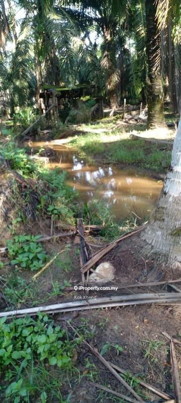 Agricultural Land for Sale in Taman Melaka Pindah, Alor Gajah by Kok Kheng - iProperty.com.my