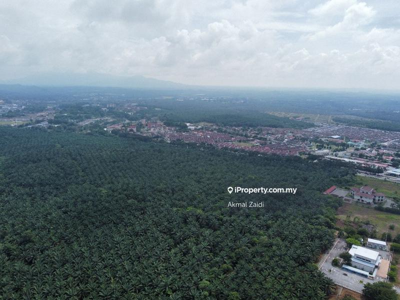 Agricultural Land for Sale in Melaka City, Melaka by Akmal Zaidi - iProperty.com.my