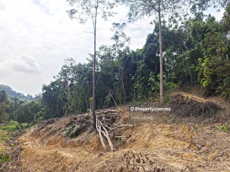 Agricultural Land for Sale in Karak, Pahang by Irene Leong - iProperty.com.my