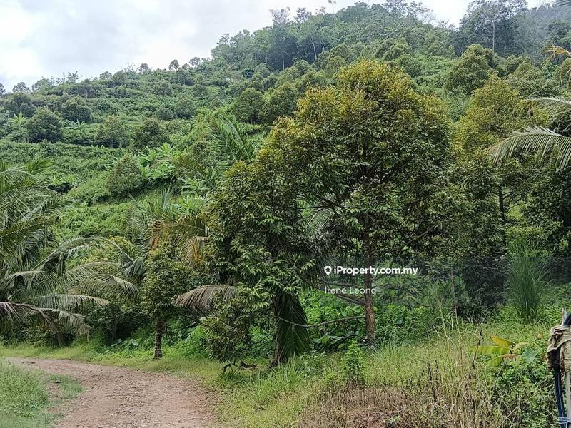 Agricultural Land for Sale in Raub, Pahang by Irene Leong - iProperty.com.my