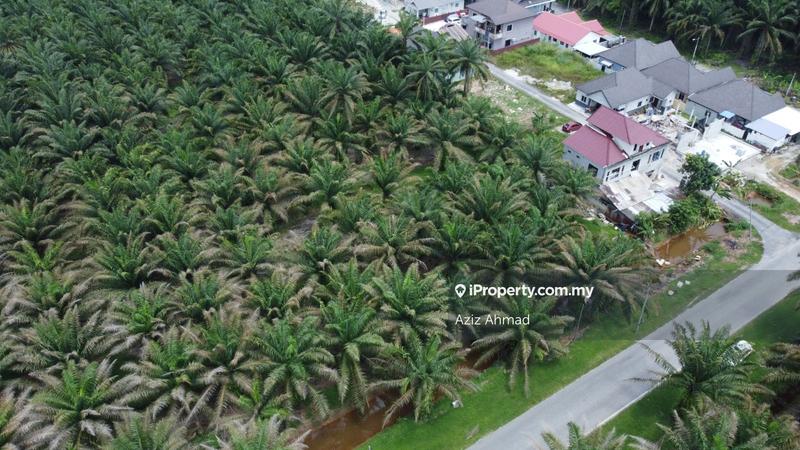 Tanah Pertanian untuk Dijual di Bukit Changgang, Banting oleh Aziz Ahmad - iProperty.com.my