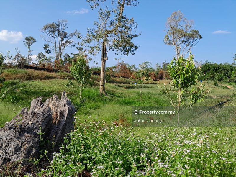 Tanah Komersial untuk Dijual di Batu Ferringhi, Penang oleh Joson Choong - iProperty.com.my