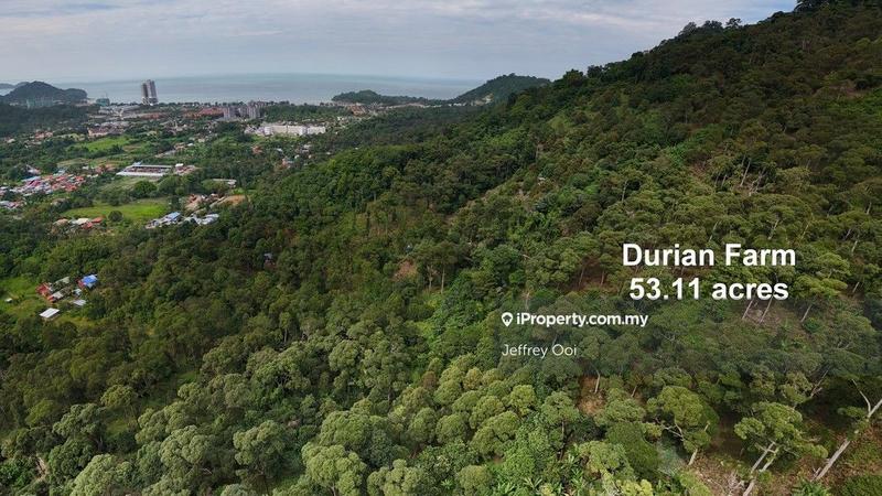 Tanah Pertanian untuk Dijual di Teluk Kumbar, Teluk Kumbar oleh Jeffrey Ooi - iProperty.com.my