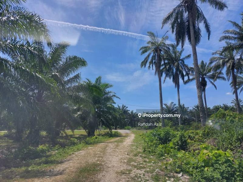 Agricultural Land for Sale in Kampung Kuala Lukut, Lukut by Rafidah Aziz - iProperty.com.my