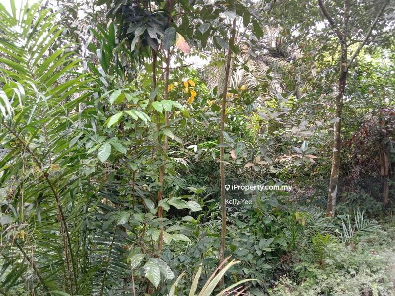 Agricultural Land for Sale in Sungai Lembu, Bukit Mertajam by Kelly Yee - iProperty.com.my