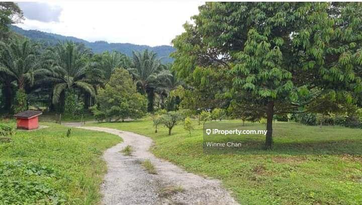 Agricultural Land for Sale in Tapah Perak 550 Acres Freehold Agriculture Land, Tapah by Winnie Chan - iProperty.com.my