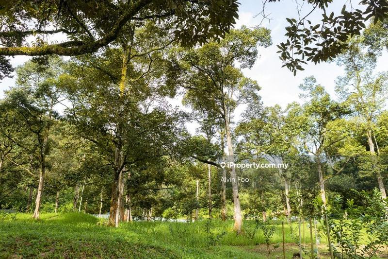 Agricultural Land for Sale in Agriculture Land @Changkat Jering Taiping Perak, Taiping by Alvin Foo - iProperty.com.my