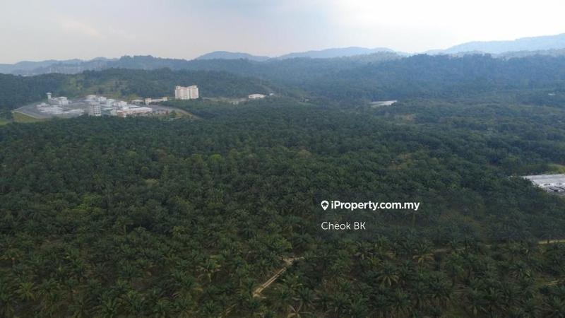 Industrial Land for Sale in Kampung Seelong Jaya, Senai by Cheok BK - iProperty.com.my