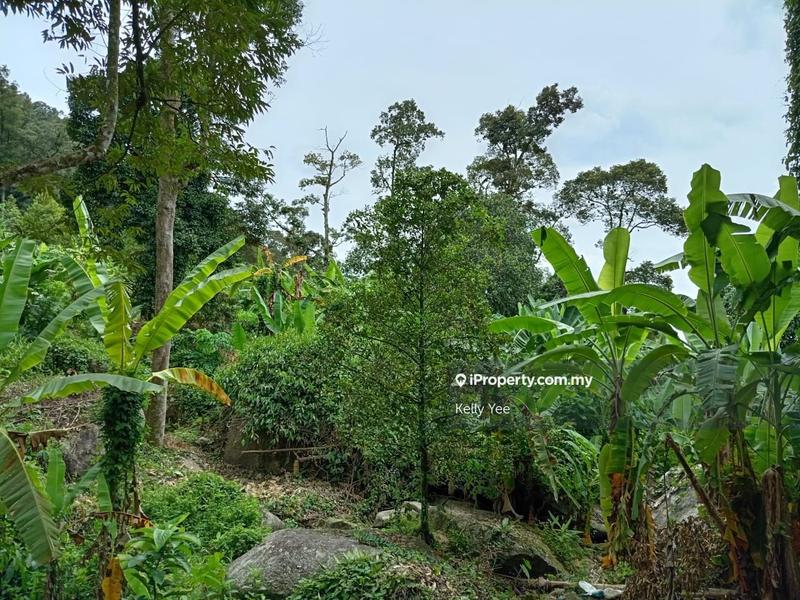 Tanah Pertanian untuk Dijual di Mengkuang Dam Orchard Farm for Sale, Bukit Mertajam oleh Kelly Yee - iProperty.com.my