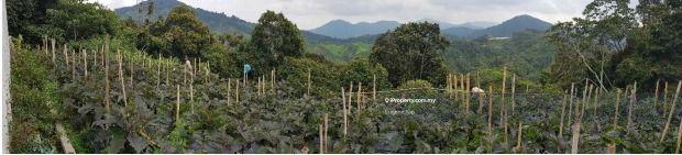 Banglo untuk Dijual di Cameron Highlands, Pahang oleh Eugene Yap - iProperty.com.my