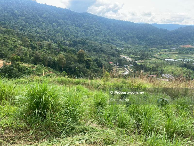 Agricultural Land for Sale in Broga Hill, Semenyih by Charisse Ng - iProperty.com.my