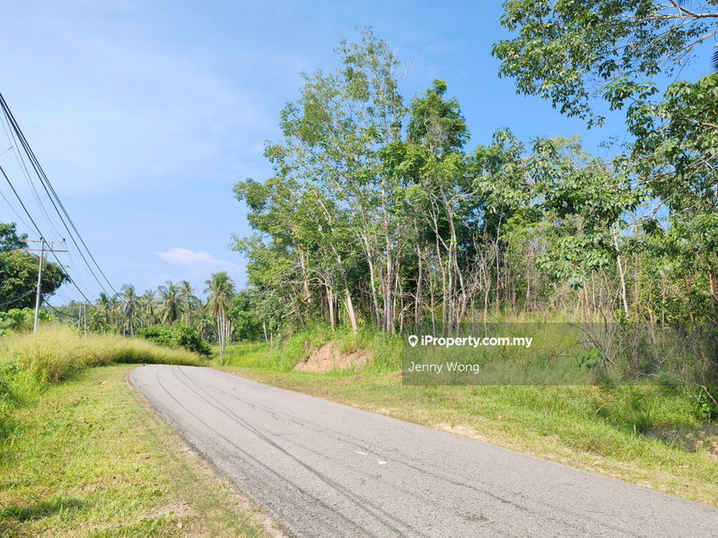 Agricultural Land for Sale in Kudat, Kudat by Jenny Wong - iProperty.com.my