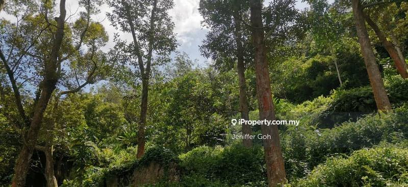 For Sale - Balik Pulau Agriculture land for sales