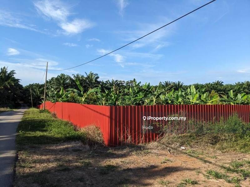For Sale - 6 ac black thorn durian farm in Port Dickson Negeri Sembilan