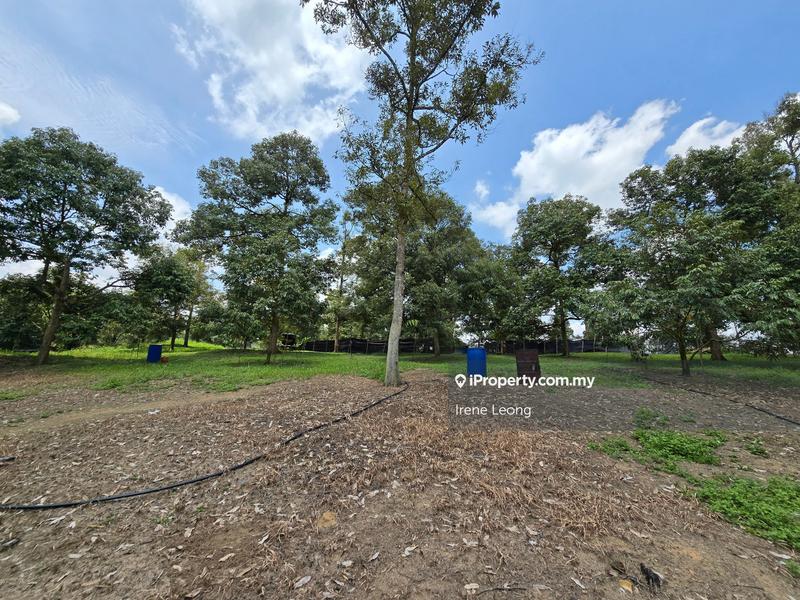 Agricultural Land for Sale in Karak, Pahang by Irene Leong - iProperty.com.my