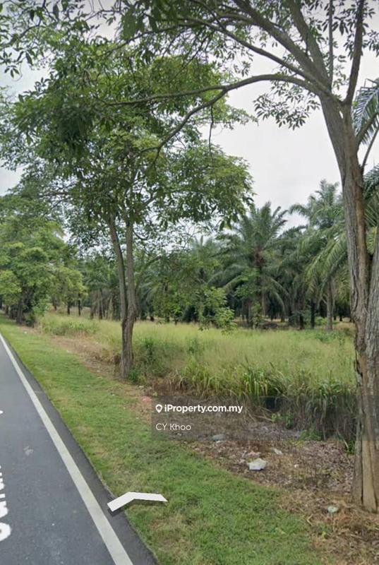 Agricultural Land for Sale in Johor Kluang Taman Puteri 1168 acres Mix deverlope, Kluang by CY Khoo - iProperty.com.my
