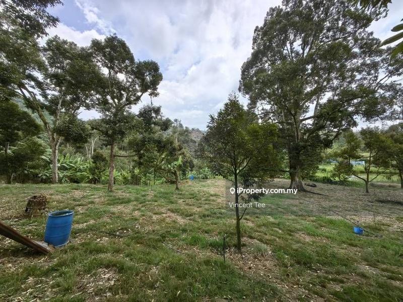 Tanah Pertanian untuk Dijual di Cheroh, Raub oleh Vincent Tee - iProperty.com.my