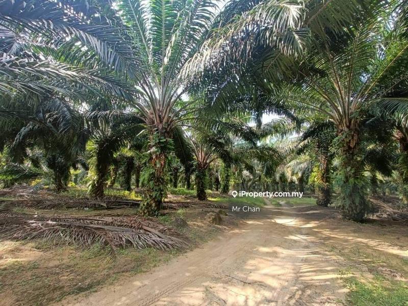 For Sale - Sepang, Sg Pelek, Sungai Pelek, Dengkil, Tanjong Sepat, KLIA