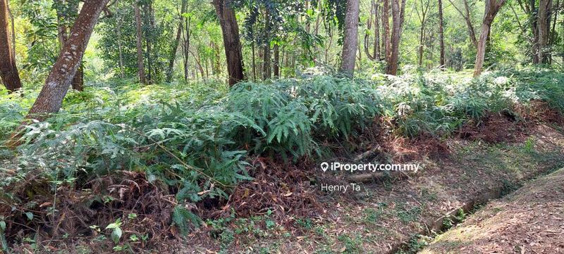 Bungalow Land for Sale in Bukit Tinggi, Bentong by Henry Ta - iProperty.com.my
