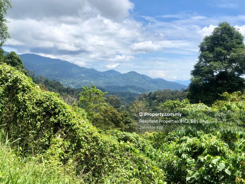 Residential Land for Sale in Janda Baik, Bentong by Jennifer Yap - Keeping the forest this way, keeping it naturally. - iProperty.com.my