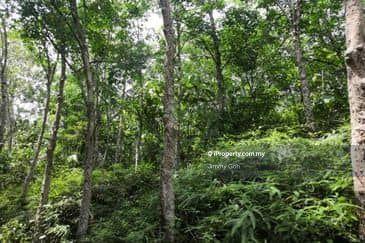 Tanah Pertanian untuk Dijual di Bandar Tras, Raub oleh Jimmy Goh - iProperty.com.my