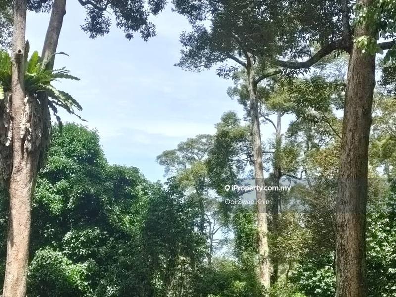 Tanah Pertanian untuk Dijual di Teluk Kumbar, Penang oleh Ooi Swee Khim - iProperty.com.my