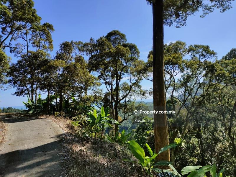 Agricultural Land for Sale in Gertak Sanggul, Bayan Lepas by Zusain Tan - iProperty.com.my