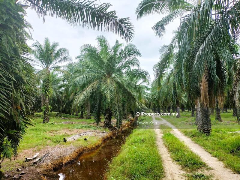Agricultural Land for Sale in Seri Manjung, Perak by Edwin Kon - iProperty.com.my