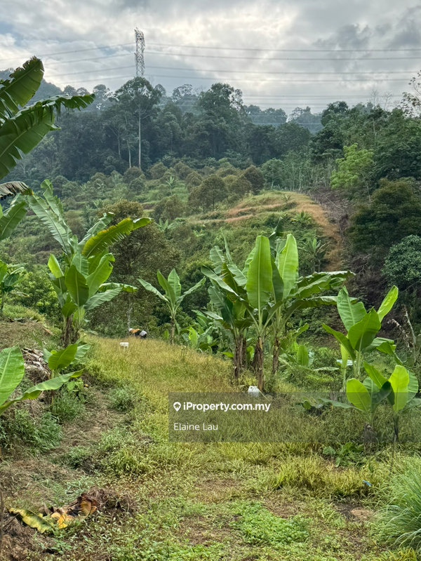 Agricultural Land for Sale in Kampung Sungai Tekali, Hulu Langat by Elaine Lau - iProperty.com.my