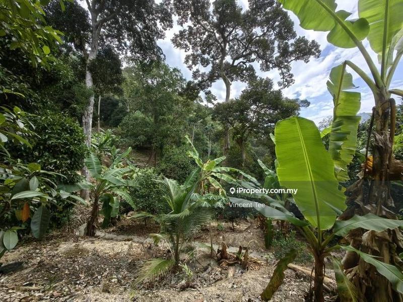 Agricultural Land for Sale in Sungai Nibong, Bayan Lepas by Vincent Tee - iProperty.com.my
