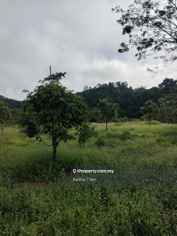 Agricultural Land for Sale in Pahang, Kuala Lipis, Kuala Lipis by Kaithly Chen - iProperty.com.my