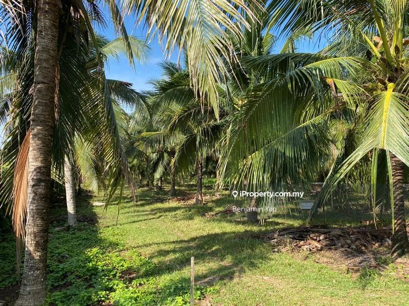 Agricultural Land for Sale in Panchor, Durian Tunggal by Benjamin Yap - iProperty.com.my