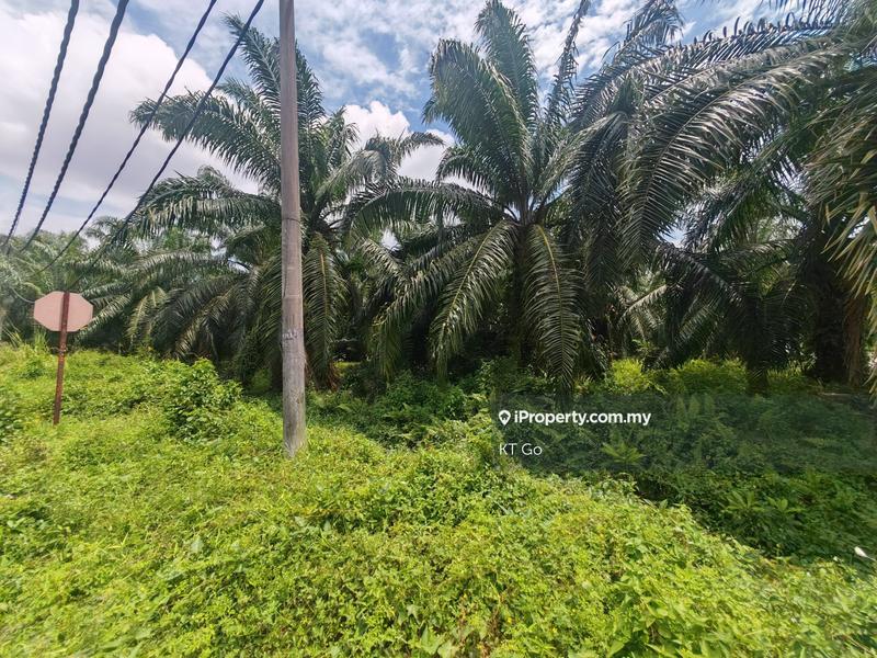Agricultural Land for Sale in Kampung Tok Muda, Kapar by KT Go - iProperty.com.my