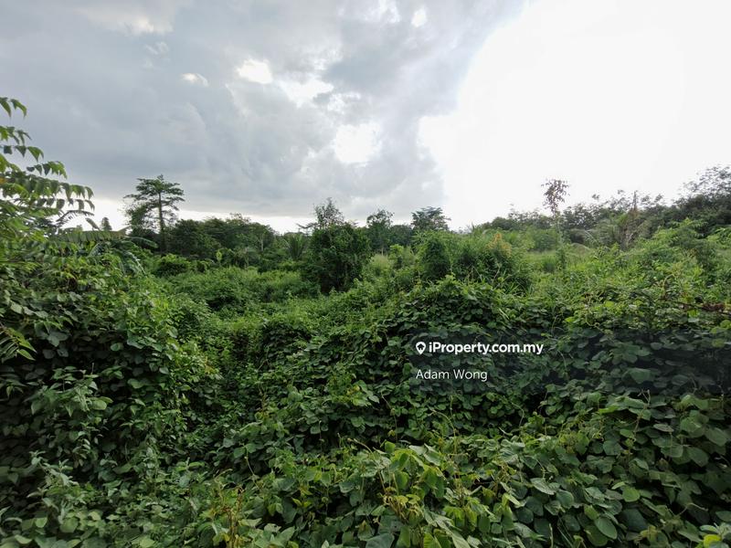 Agricultural Land for Sale in Pokok Sena, Pokok Sena by Adam Wong - iProperty.com.my