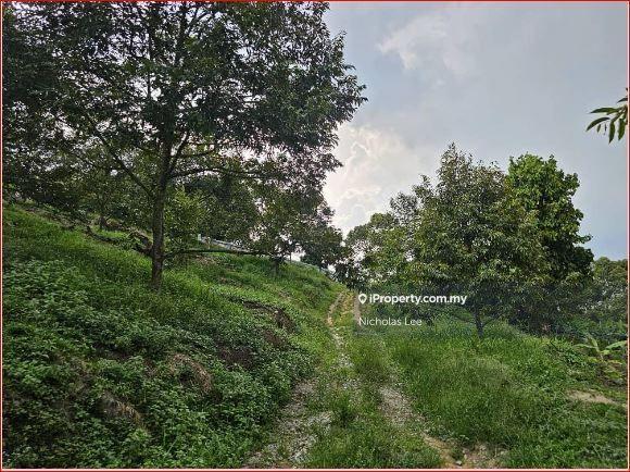 Agricultural Land for Sale in Kampung Sungai Makau, Hulu Langat by Nicholas Lee - iProperty.com.my