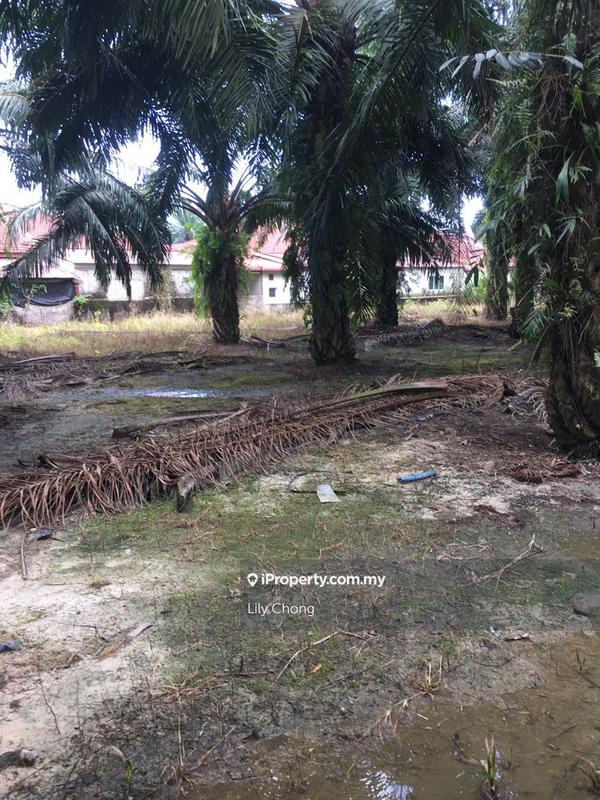 Agricultural Land for Sale in Seri Manjung, Perak by Lily Chong - iProperty.com.my