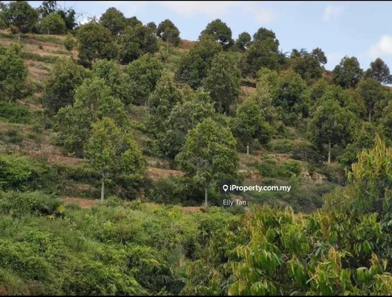 Tanah Pertanian untuk Dijual di Telemong, Karak, Bentong, Raub, Manchis, Bentong oleh Elly Tan - iProperty.com.my