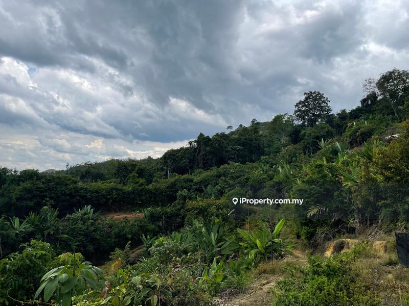 Agricultural Land for Sale in Karak town, Bentong by Damon Wong - iProperty.com.my